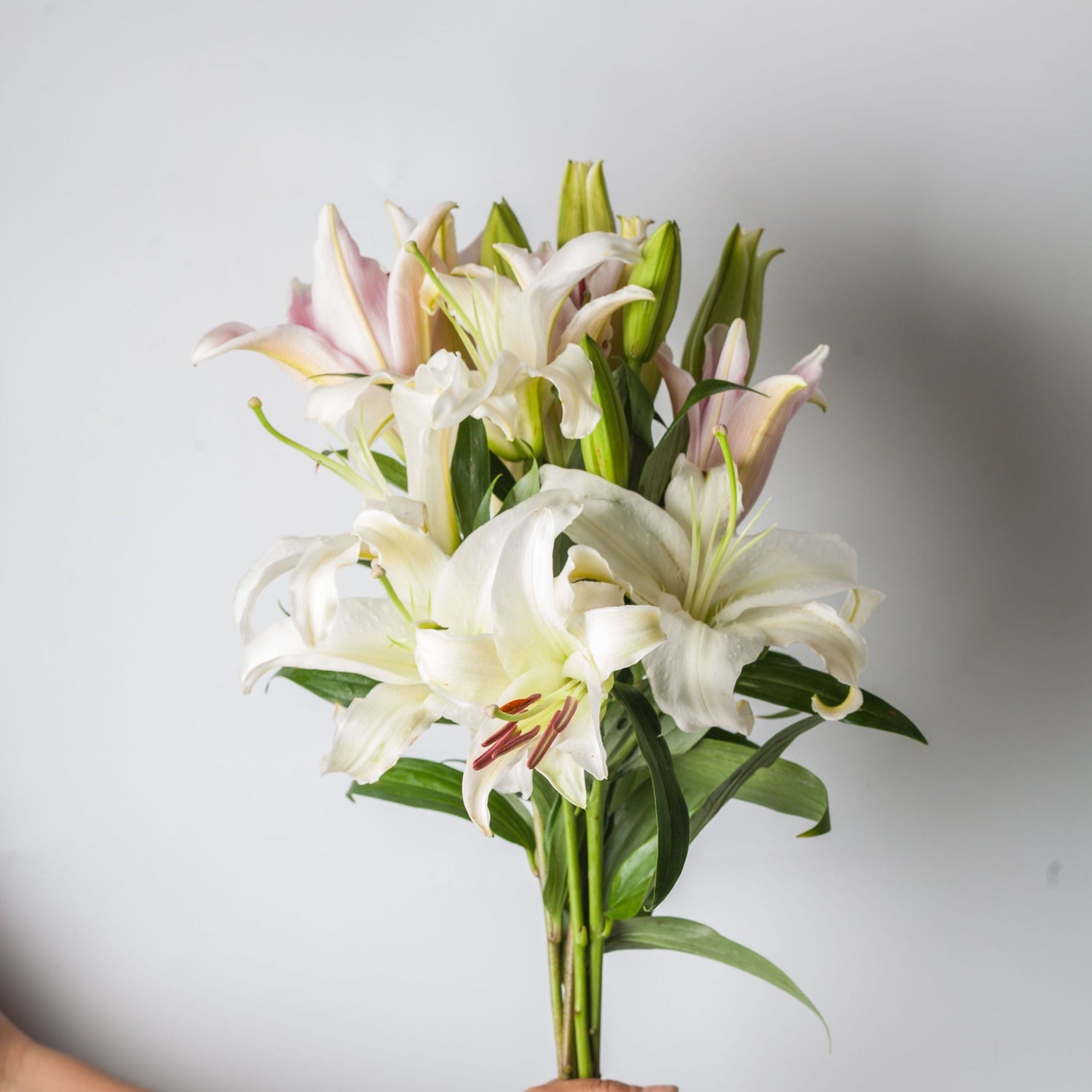 Lilies - Bloom & Core Florist