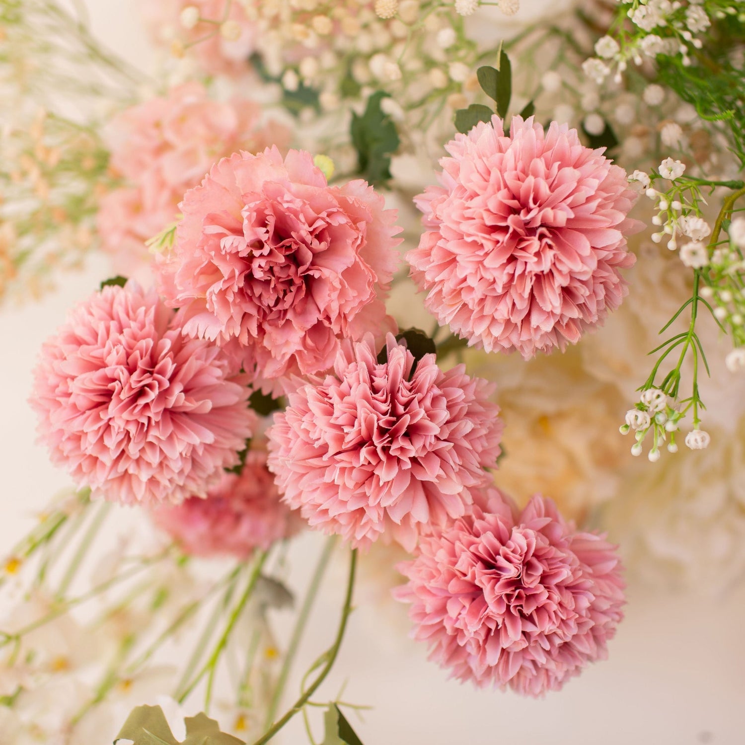 Carnations - Bloom & Core Florist