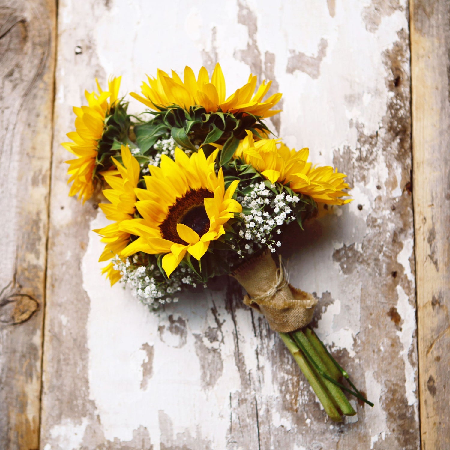Sunflowers - Bloom & Core Florist